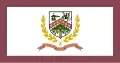 Flag of Marion County, West Virginia