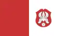 Flag of Mezőtúr