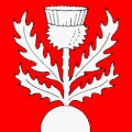 Flag of Montaubion-Chardonney