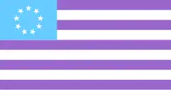 Flag of Nett