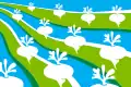 Flag of Oostknollendam