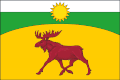 Flag of Pankrushikhinsky District