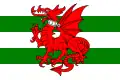 Flag of Plomelin