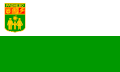 Flag of Radnevo