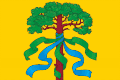 Flag of Rebrikhinsky District