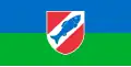 Flag of Ribnica
