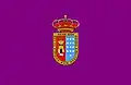 Flag of Roa de Duero