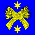Flag of Salins