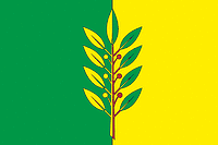 Flag of Slavgorod