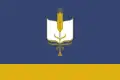 Flag of Sterlibashevsky District
