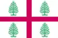 Flag of Sudislavsky District