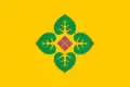 Flag of Yergyolyokh