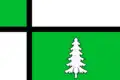 Flag of Tayshet