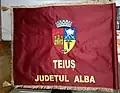 Flag of Teiuș