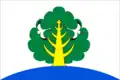 Flag of Balagachchy