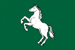 Flag of Tomsk