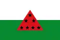 Flag of Tununguá