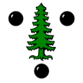 Flag of Versam