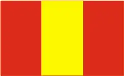Flag of Vidzy
