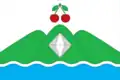 Flag of Vishnyovogorsk