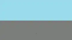 {{{flag_name}}}