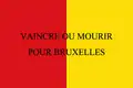 Flag of volunteers of Liege (1830 – 1831)