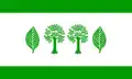 Flag of Buchholz