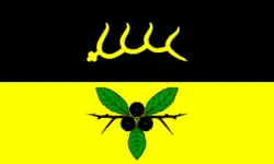Flag of Kröppelshagen-Fahrendorf