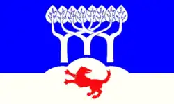 Flag of Stadum