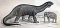Early life restoration of Atlantosaurus immanis, at the time seen as the largest land animal in history