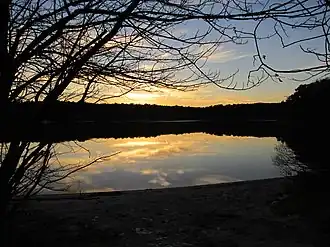 Pond
