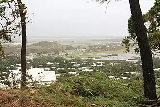 Flooding in Belgian Gardens during Cyclone Yasi, 2011