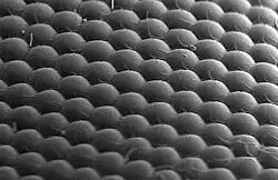 Detail of the previous image