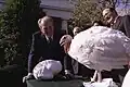 President Gerald Ford accepting a non-pardoned turkey, 1975