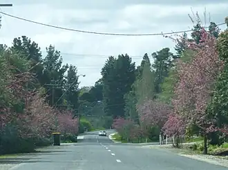 The main street of Forreston, South Australia in full bloom at springtime