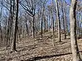 Looking up from the base of the hill - entryway visible on right