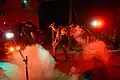Fossils during one of their concerts