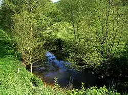 The Druance