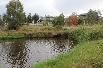 Franklin wetlands