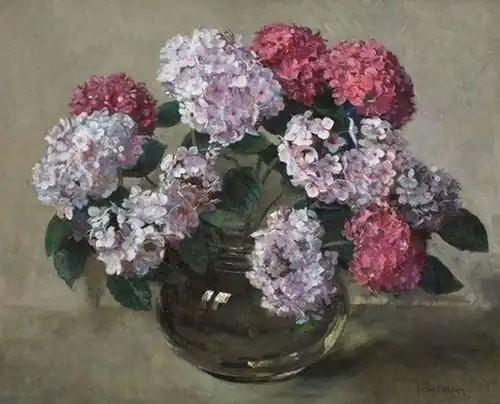 Hydrangeas in Glass Vase