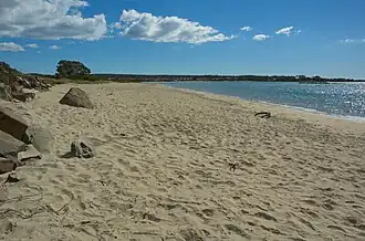 Freers Beach