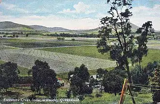 Freestone, circa 1910