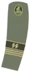 Verbandsgruppenführer