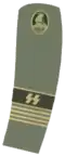 Verbandsführer