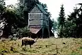 Sheep and the gatehouse
