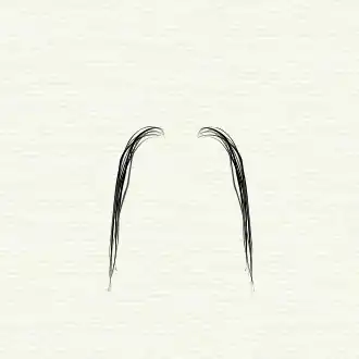 "Fu Manchu" moustache style