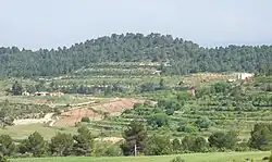 Town of Fuente Carrasca