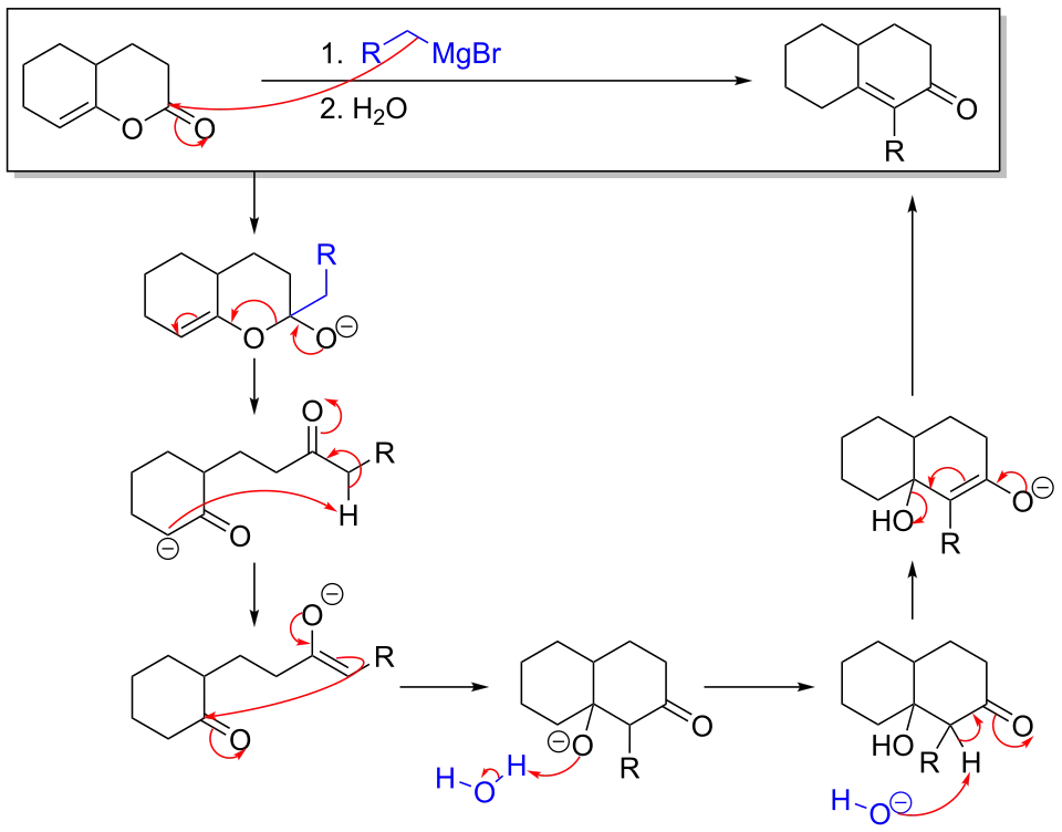 mechanism of the reaction