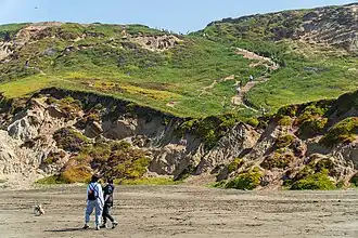 An image showing the large Dutch sand ladder leading from the parking lot to the beach at Fort Funston.