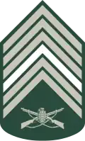 Primeiro-sargento (Brazilian Army)[30]